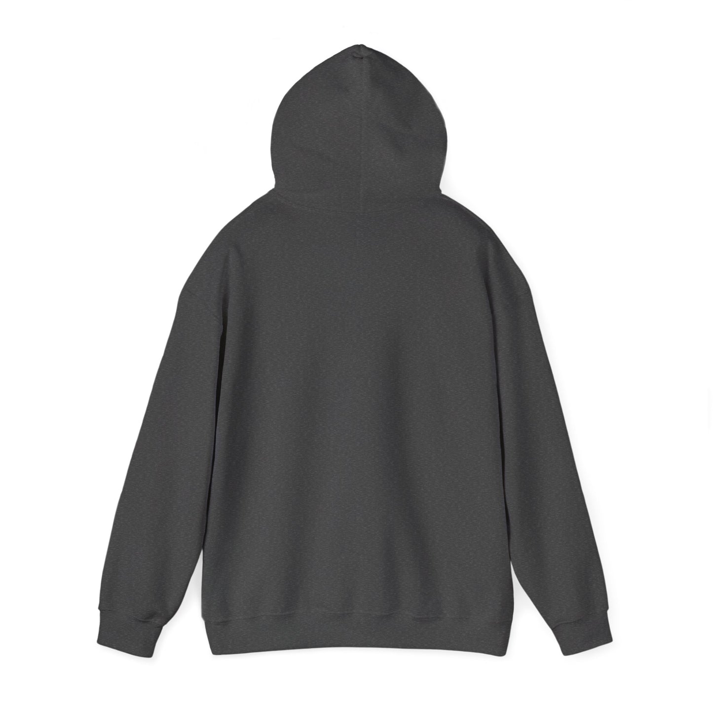 Bold Statement Hoodie, Sweatshirt with Bold Statement, Unisex Statement Hoodie, Bold Text Hooded Sweatshirt, Bold Typography Pullover,