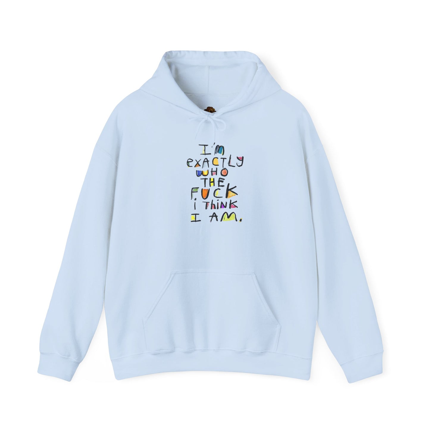 Bold Statement Hoodie, Sweatshirt with Bold Statement, Unisex Statement Hoodie, Bold Text Hooded Sweatshirt, Bold Typography Pullover,