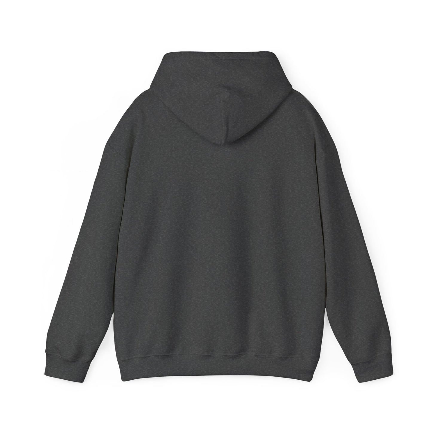 Bold Statement Hoodie, Sweatshirt with Bold Statement, Unisex Statement Hoodie, Bold Text Hooded Sweatshirt, Bold Typography Pullover,
