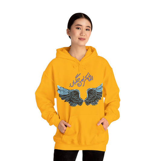 Pakistani Streetwear Hoodie, Ethnic Fashion Pullover, Unisex Pakistani Sweatshirt, Cultural Apparel Gift, Traditional Street Style Jumper