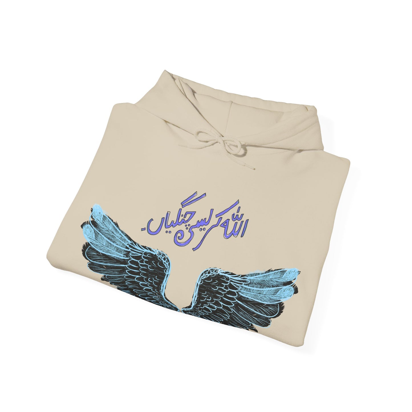 Pakistani Streetwear Hoodie, Ethnic Fashion Pullover, Unisex Pakistani Sweatshirt, Cultural Apparel Gift, Traditional Street Style Jumper